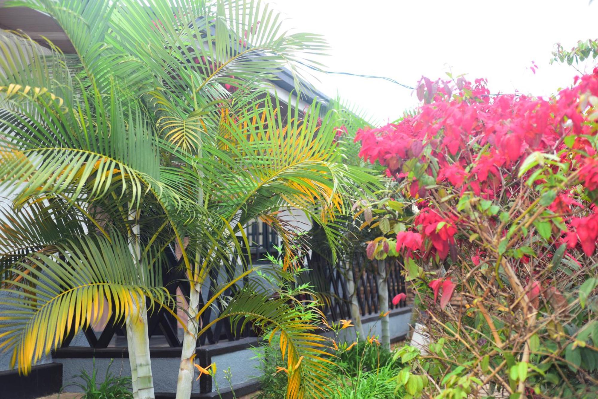 Akagera Neighbors Bed & Breakfast Kabarondo ภายนอก รูปภาพ